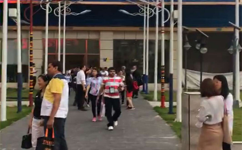 廣交會(huì)海外采購團(tuán)蒞臨國際路燈城，太陽能路燈led燈備受關(guān)注
