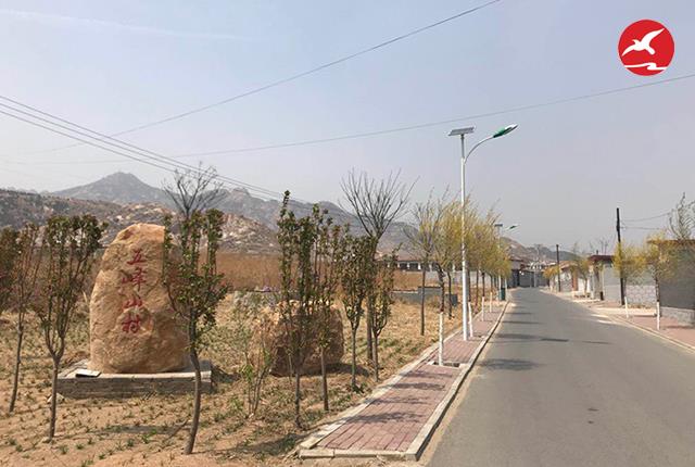 綠色LED太陽能路燈照明