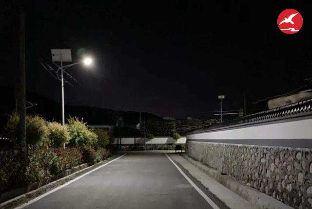 農村太陽能路燈亮燈效果