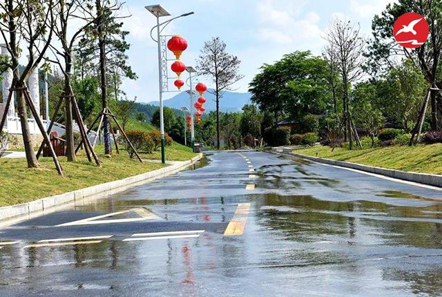 新農(nóng)村太陽(yáng)能路燈廠家