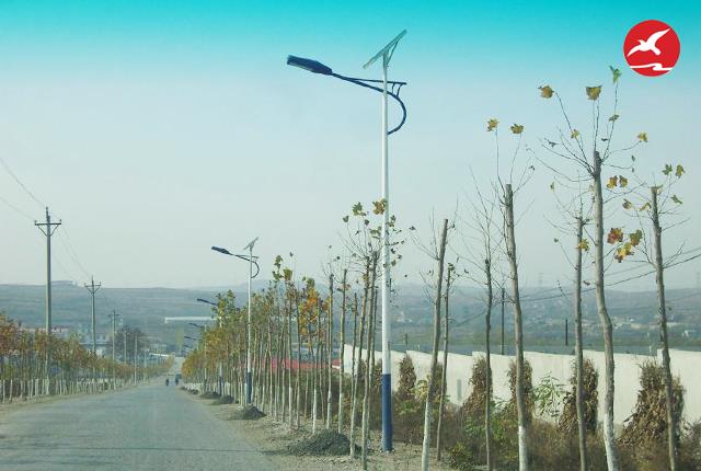 新農村太陽能路燈生產廠家