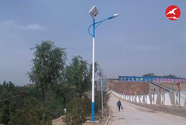 新農村太陽能路燈廠家