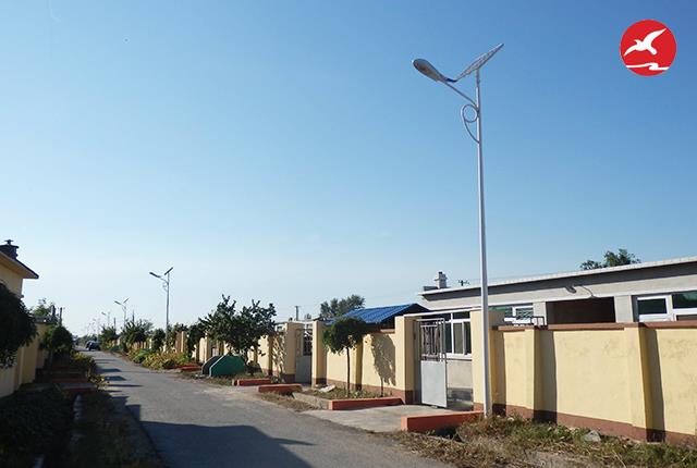 農村太陽能路燈