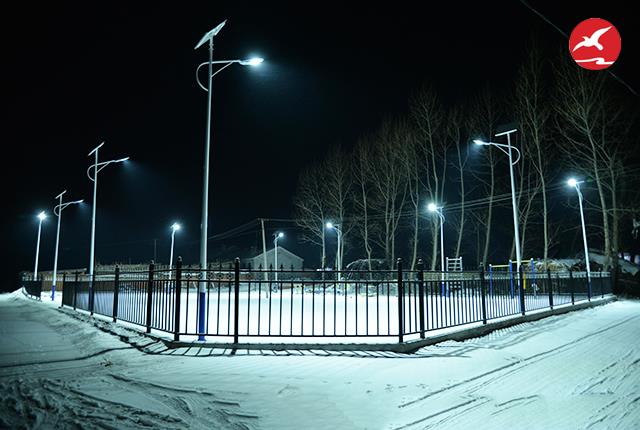 新農村太陽能led路燈