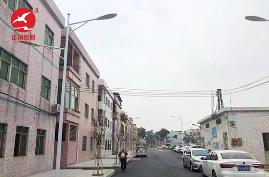  東莞新州新訪LED路燈工程
