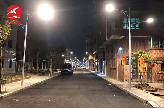 東莞新州新訪LED路燈工程