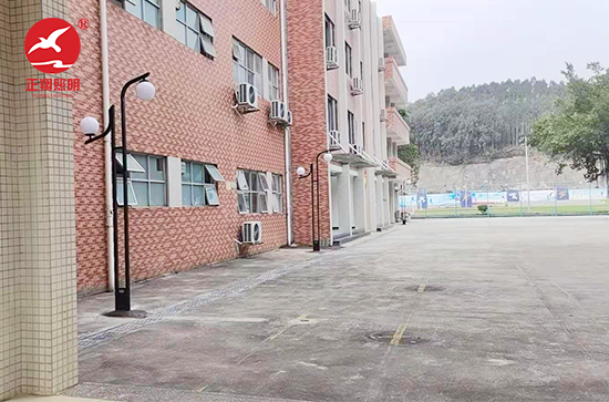清遠市清城區洲心街第一初級中學庭院燈項目