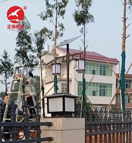 湖南株洲新農(nóng)村中式太陽能庭院燈工程案例