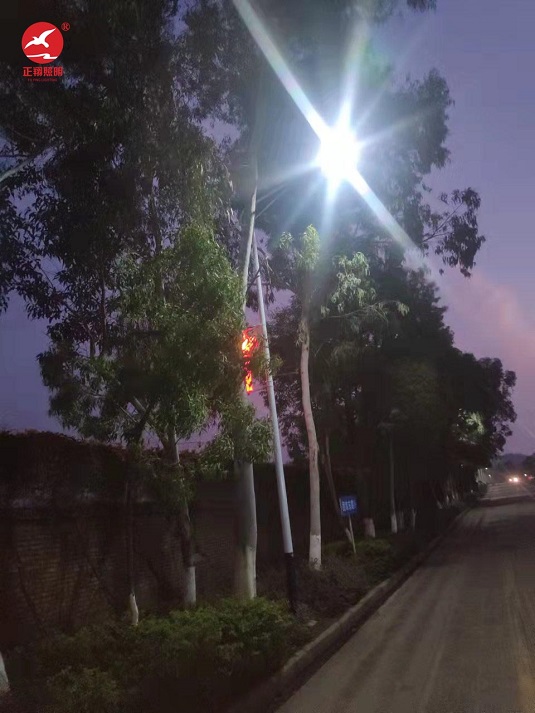 惠州市河南岸下馬莊中國結太陽能路燈