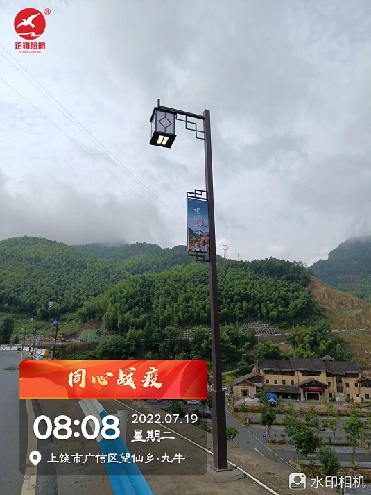 江西上饒望仙谷景區庭院燈