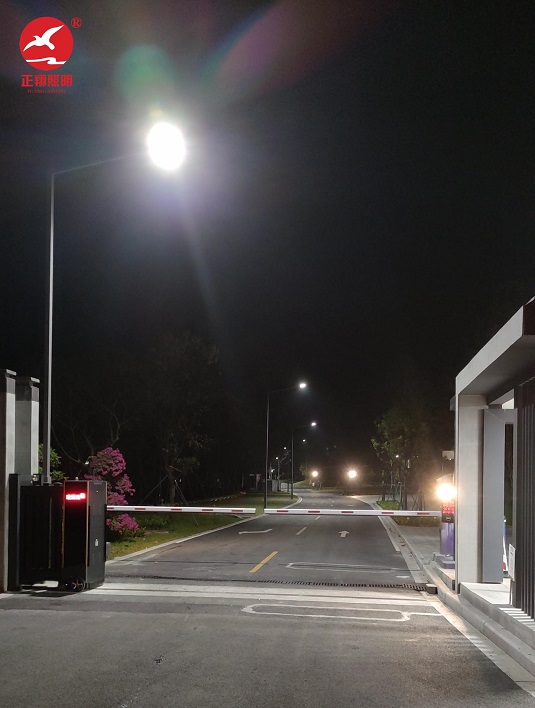 廣州從化碧水新村市電單臂led路燈安裝
