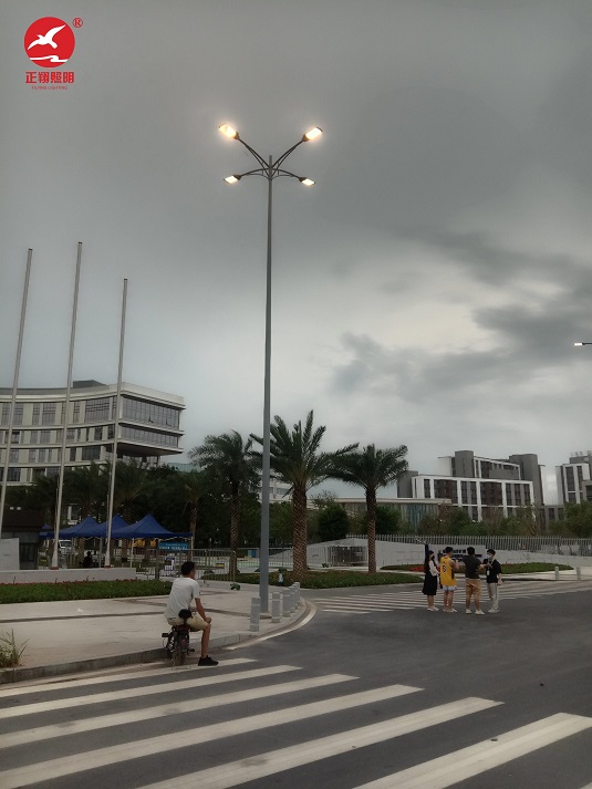 廣西南沙慶盛樞紐高低臂市電路燈