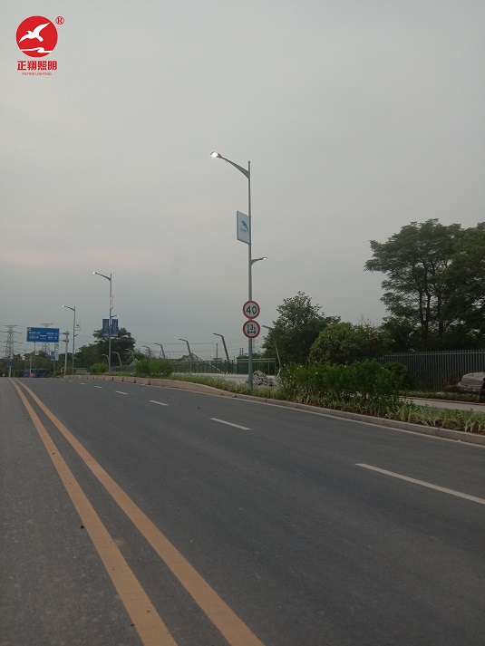 廣西南沙慶盛樞紐高低臂市電路燈