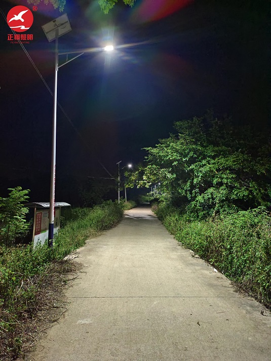 廣西桂平鄉村太陽能路燈安裝