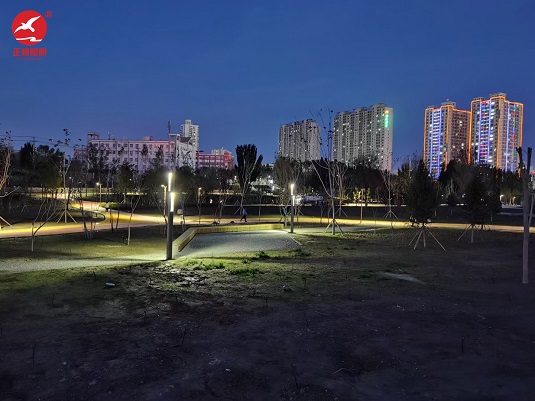 新疆哈密市伊州區(qū)公園景觀燈