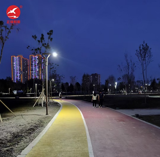 新疆哈密市伊州區(qū)公園景觀燈