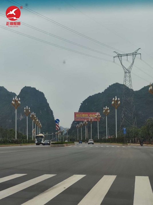 廣西市政道路玉蘭燈安裝