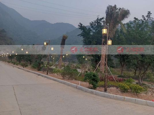  廣東清遠園林景觀庭院燈