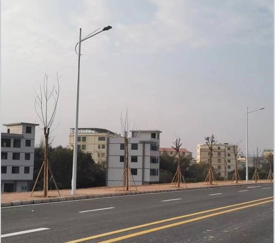 廣東惠州惠城區江濱路市電路燈