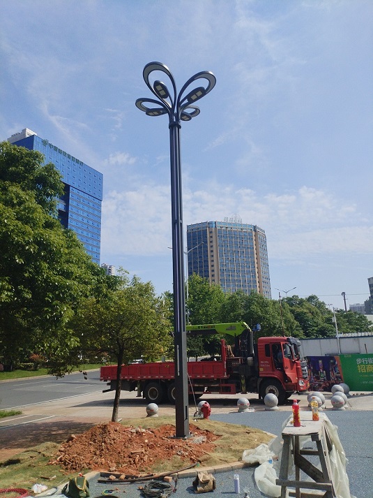 湖南-株洲醴陵市玉蘭燈安裝工程