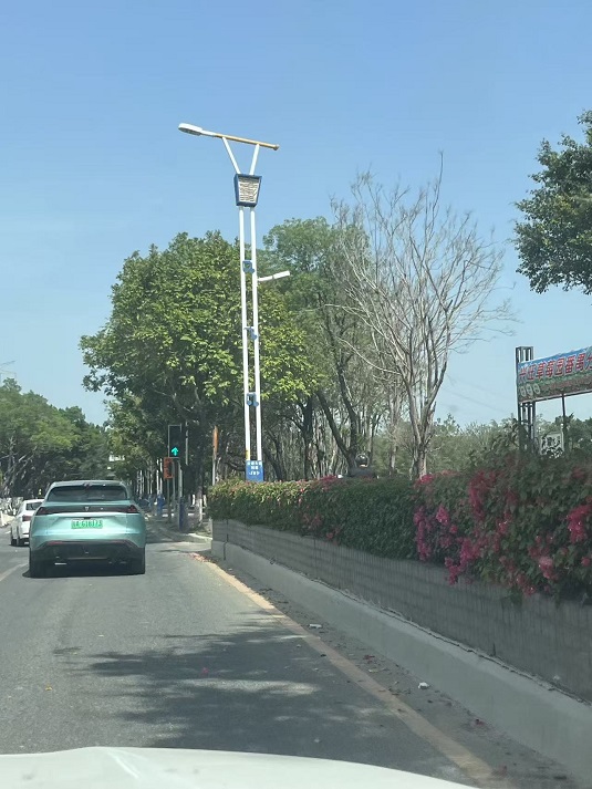 廣州亞運大道市電路燈工程案例