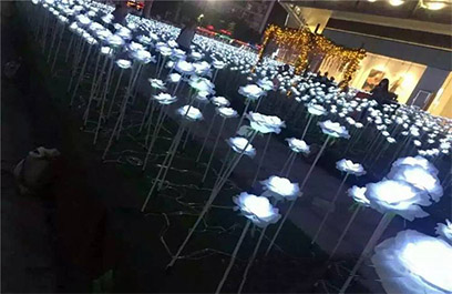 LED蘆葦燈 正翔9204應用圖3