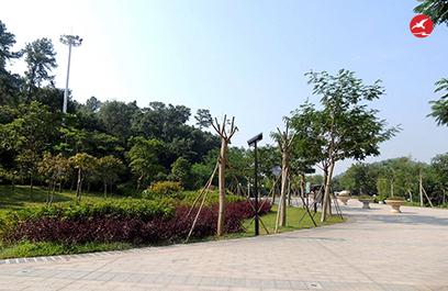 太陽能庭院燈 正翔3010應用圖4
