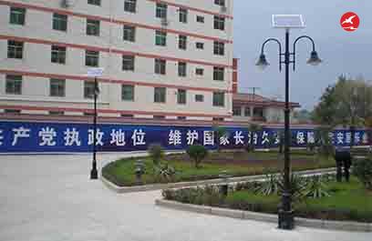 中式庭院燈 正翔3308應(yīng)用圖3