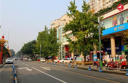 LED智慧路燈ZX5408應用圖2